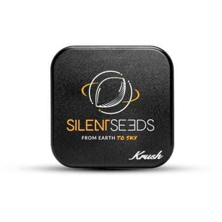 Grinder Kush von Silent Seeds