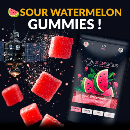 THC- und CBD-Gummibärchen | Sour Watermelon