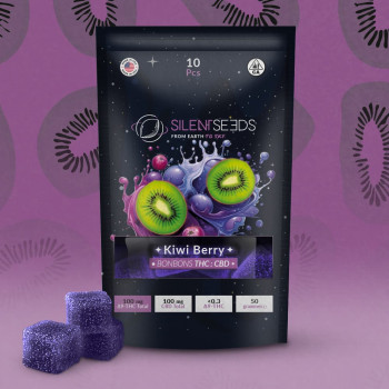 THC- und CBD-Gummibärchen | Kiwi-Beere
