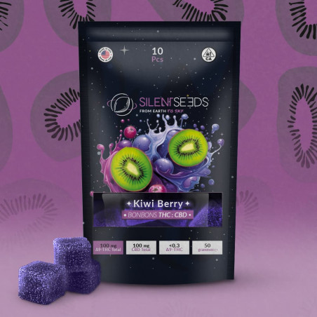 THC- und CBD-Gummibärchen | Kiwi-Beere