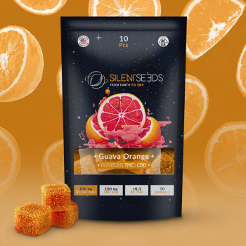 THC- und CBD-Gummibärchen | Guave-Orange