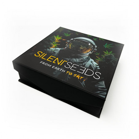 Aschenbecher aus Kristallglas – Kosmonaut – Silent Seeds