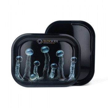 Rolling Tray Box – Silent Seeds