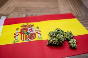 Cannabis-Clubs in Barcelona