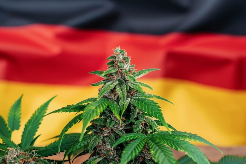 Legalisierung von Cannabis in Deutschland